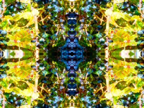 Symmetrical pattern Stock Photos