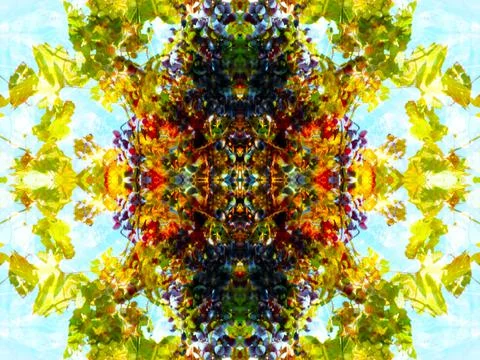 Symmetrical pattern Stock Photos