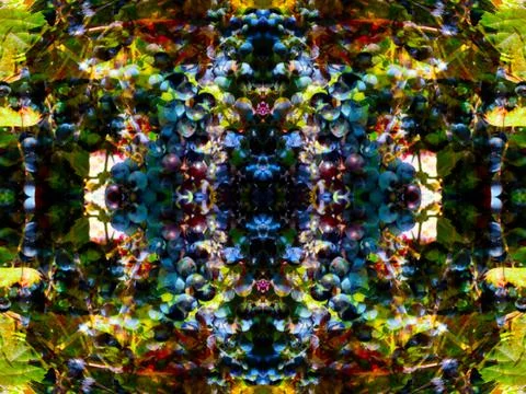 Symmetrical pattern Stock Photos
