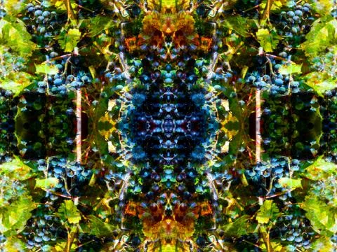 Symmetrical pattern Stock Photos