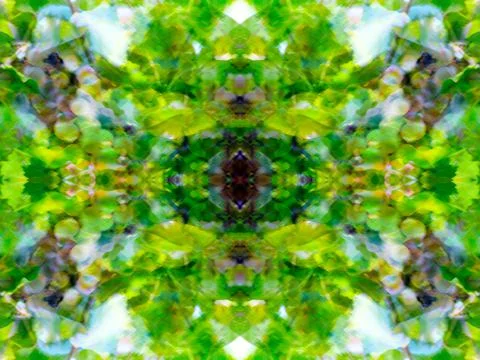Symmetrical pattern Stock Photos