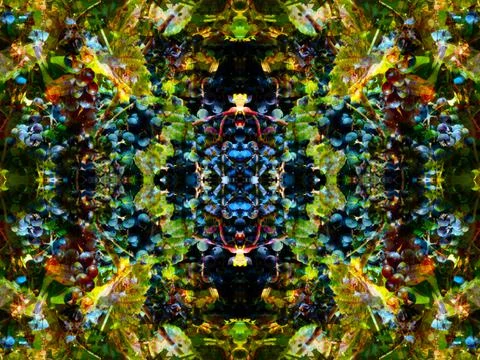 Symmetrical pattern Stock Photos