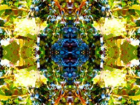 Symmetrical pattern Stock Photos