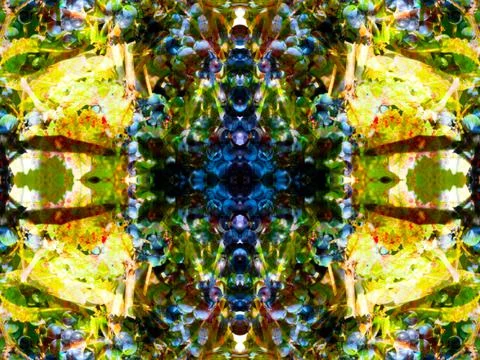 Symmetrical pattern Stock Photos