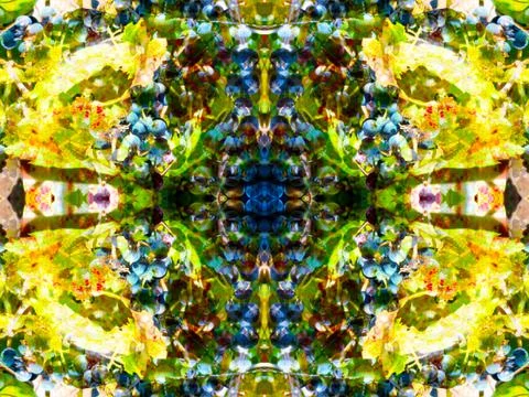 Symmetrical pattern Stock Photos