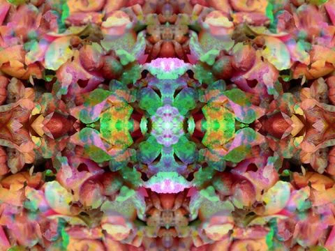 Symmetrical pattern Stock Photos