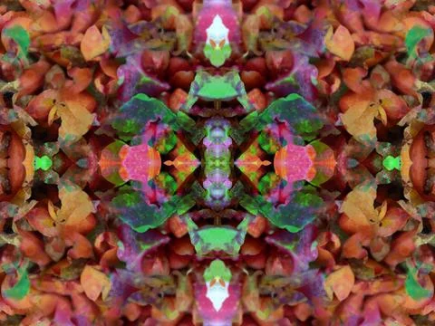 Symmetrical pattern Stock Photos