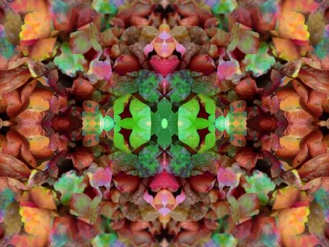 Symmetrical pattern Foto stock