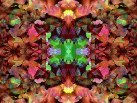 Symmetrical pattern Stock Photos