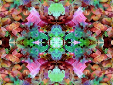 Symmetrical pattern Stock Photos