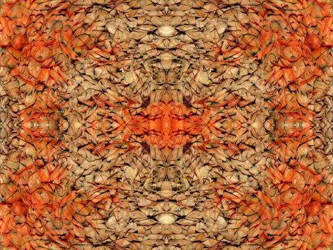 Symmetrical pattern 库存照片