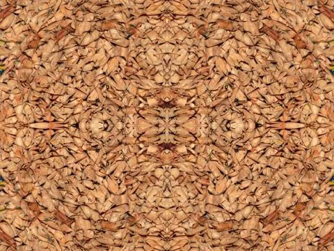 Symmetrical pattern Stock Photos