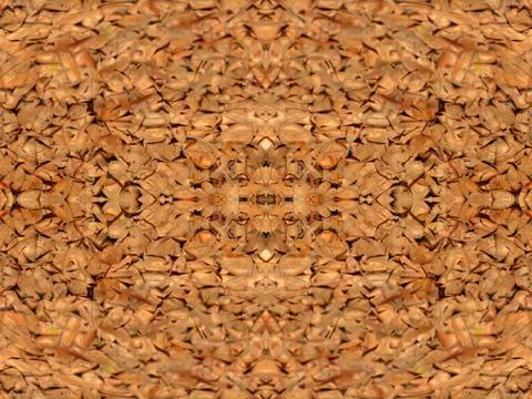 Symmetrical pattern Stock Photos