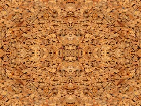 Symmetrical pattern Stock Photos