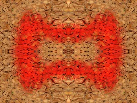 Symmetrical pattern Foto stock