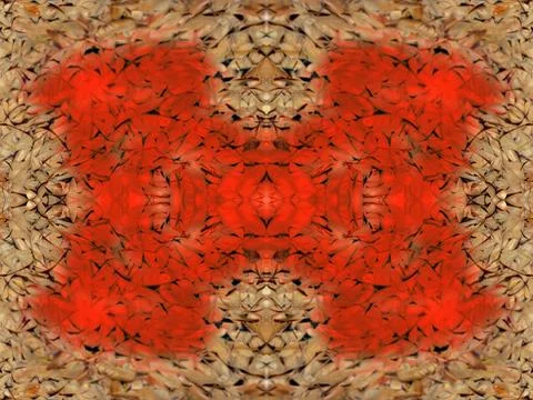 Symmetrical pattern 스톡 사진