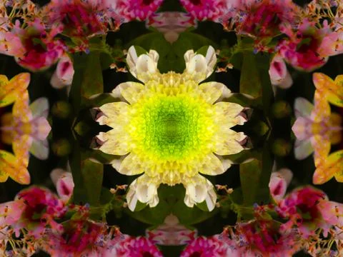 Symmetrical pattern 库存照片