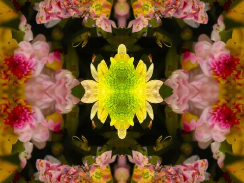 Symmetrical pattern Stock Photos