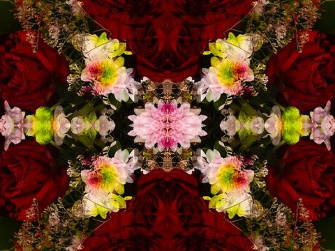 Symmetrical pattern 스톡 사진