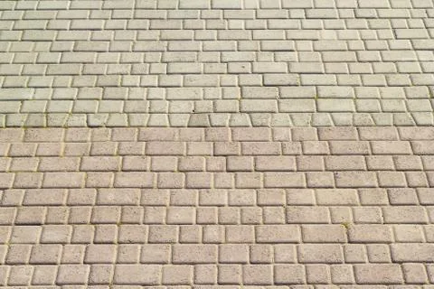 Symmetrical pattern of sidewalk tile with green moss .Grey pavement stone Stock Photos