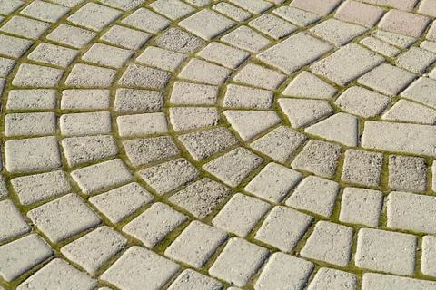 Symmetrical pattern of sidewalk tile with green moss .Grey pavement stone Stock Photos