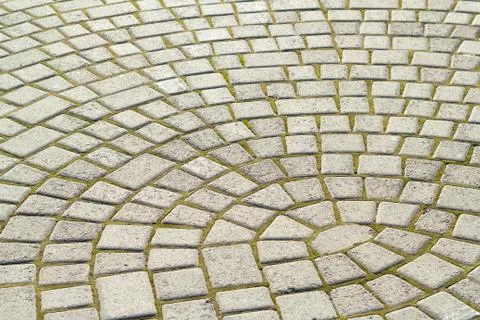 Symmetrical pattern of sidewalk tile with green moss .Grey pavement stone Stock Photos