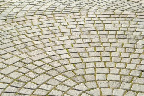Symmetrical pattern of sidewalk tile with green moss .Grey pavement stone Stock Photos