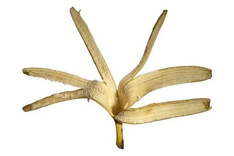 Symmetrical peeled banana fruit isolated white background creative compositio Stock-Fotos