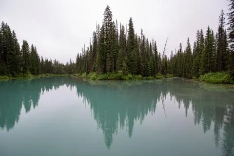 Symmetrical picture of the trees reflected on the surface of Emerald lake. Stock Photos