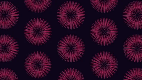 Symmetrical pink flower pattern on black - circular petal design Vídeo Stock 311601448