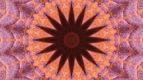 Symmetrical radial background Stock Footage 95951323