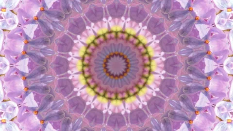 Symmetrical radial background Stock Footage 95951988