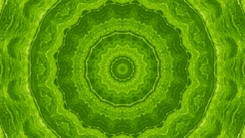 Symmetrical radial background Stock Footage 95952283