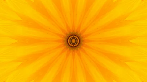 Symmetrical radial background Stock Footage 95952401