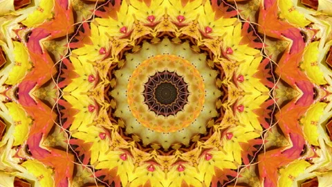 Symmetrical radial background Stock Footage 95952586