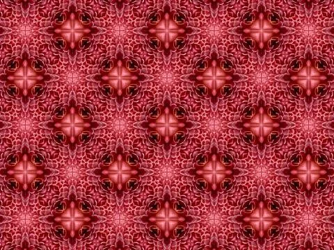 Symmetrical Red Floral Pattern with Torch Ginger Petals Stock Illustration