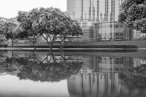 Symmetrical reflection of trees and skyscraper in water Stock Photos