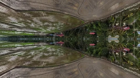Symmetrical reflection of weathered concrete corridor with lush tropical view Video stock 345397054
