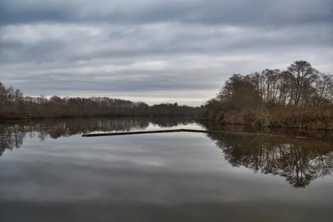 Symmetrical reflections of trees in the pond. Stock Photos