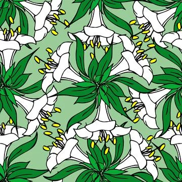 Symmetrical seamless pattern of white flowers on a green background, texture Illustrazione stock