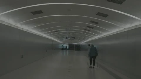 Symmetrical Underground Corridor in Beijing Subway Vidéo 341457327