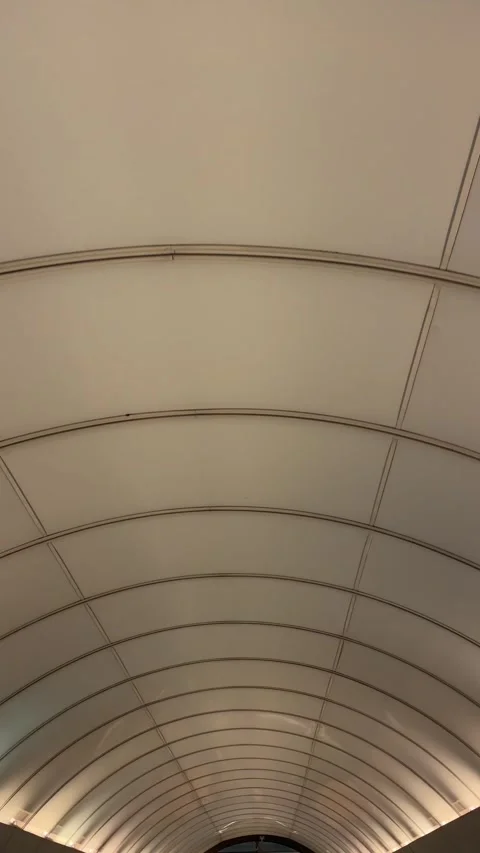 Symmetrical vaulted ceiling with repeating arched ribs and warm uplighting arch 스톡 동영상 341661873