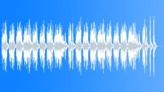 Symphony of Beauty (String Quartet) Stock Music