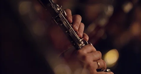 Symphony orchestra brass section 6 Stock Footage 107010873