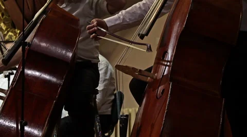 Symphony Orchestra. Cello. Stock-Footage 48990953