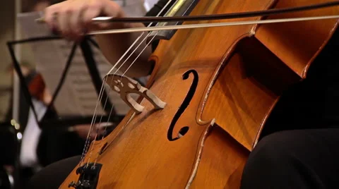 Symphony Orchestra. Cello. Stock-Footage 48990962