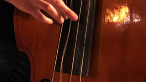 Symphony Orchestra. Contrabass. Stock-Footage 48990961