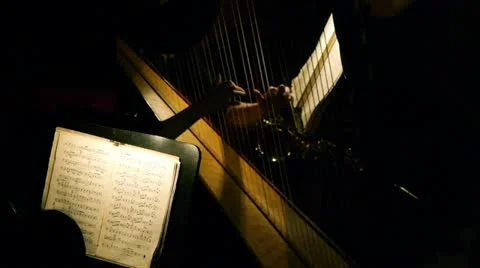 Symphony orchestra Stock Footage 12307183