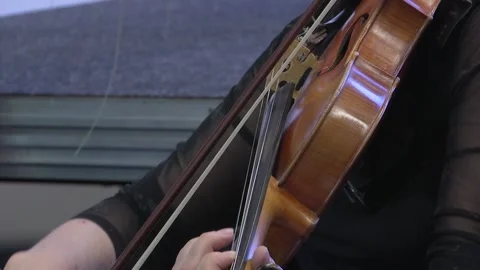 Symphony orchestra the musician's hands play a bow on the violin. Stock Footage 155003369