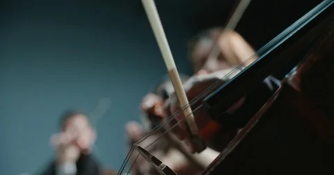 Symphony orchestra performance, close-up of stringed instruments at work Stock-Footage 84361144